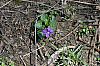 CaveInRock_060401_30.JPG CaveInRock_060401_30.JPG