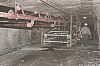 GipsonCountyCoal_060331_17.JPG GipsonCountyCoal_060331_17.JPG