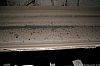 GipsonCountyCoal_060331_19.JPG GipsonCountyCoal_060331_19.JPG