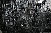 GipsonCountyCoal_060331_41.JPG GipsonCountyCoal_060331_41.JPG