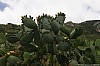 Sardinia_070530-132757.jpg Sardinia_070530-132757.jpg