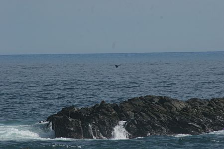 imwa2010_245.jpg