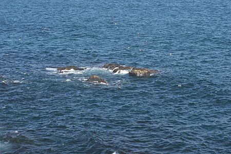 imwa2010_441.jpg