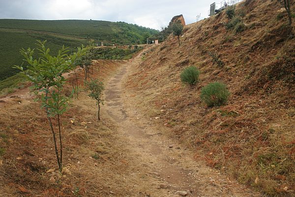 LasMedulas_113.jpg