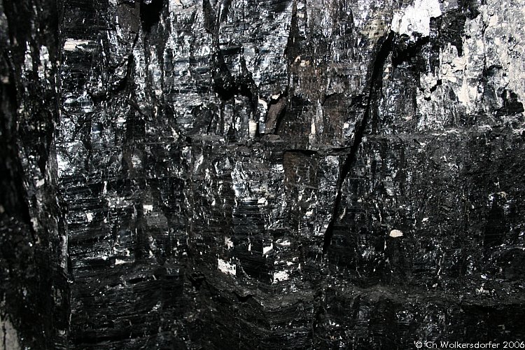 GipsonCountyCoal_060331_41.JPG