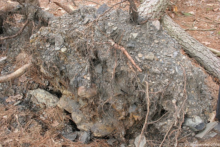 TabSimcoMine_060330_19.JPG