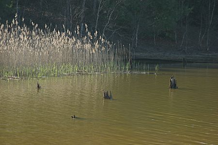 imwa2010_105.JPG