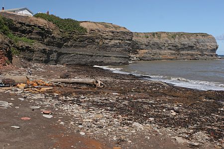 imwa2010_486.jpg