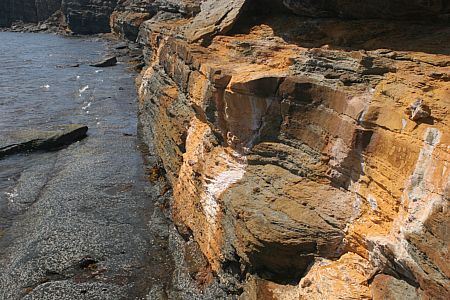 imwa2010_601.jpg